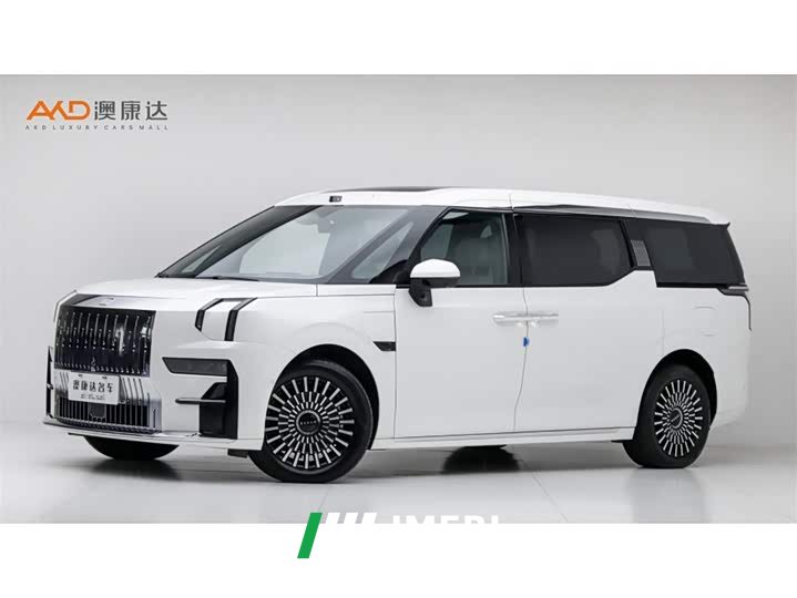 Zeekr 009 Six-Seat Executive AWD 108kWh - car from China