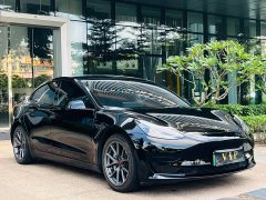 Tesla Model 3 Standard Range RWD Upgrade 3D6 - фото 3
