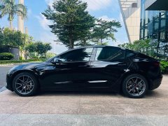 Tesla Model 3 Standard Range RWD Upgrade 3D6 - фото 4