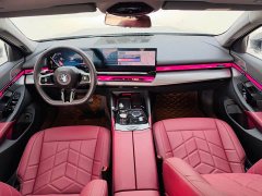 BMW 5 Series 530Li Premier M Sport Package - photo 8