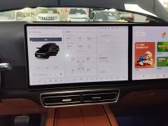 Li Auto L8 Pro - ფოტო 12