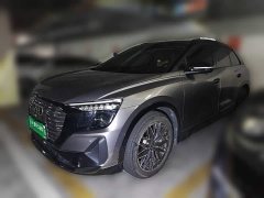 Audi Q5 e-tron 40 e-tron Stellar Edition Mecha Package - photo 1