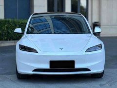 Tesla Model 3 Rear-Wheel Drive - ფოტო 2