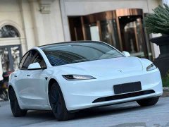 Tesla Model 3 Rear-Wheel Drive - ფოტო 3