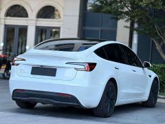 Tesla Model 3 Rear-Wheel Drive - ფოტო 8