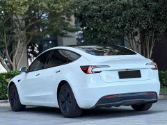 Tesla Model 3 Rear-Wheel Drive - ფოტო 9