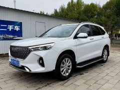 Haval M6 PLUS 1.5T DCT Luxury Smart Connected Edition - ფოტო 1