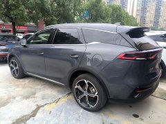 BYD Tang New Energy DM-i 112KM Premium Edition - фото 4