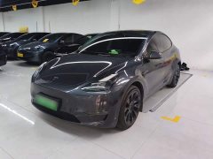 Tesla Model Y Long Range All-Wheel Drive - ფოტო 1