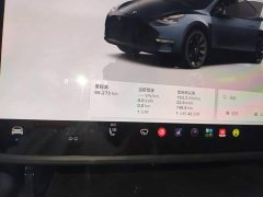 Tesla Model Y Long Range All-Wheel Drive - ფოტო 11