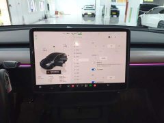 Tesla Model Y Long Range All-Wheel Drive - ფოტო 12