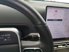 Li Auto L6 Pro - ფოტო 13