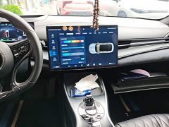 BYD Seal Champion Edition 700km Performance Version - photo 12