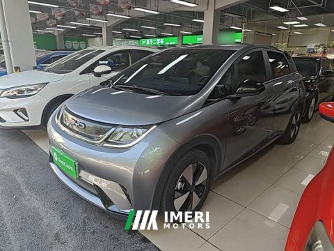 2024 BYD Dolphin 420km Freedom Edition - ავტომობილი ჩინეთიდან