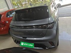 BYD Dolphin 420km Freedom Edition - ფოტო 5