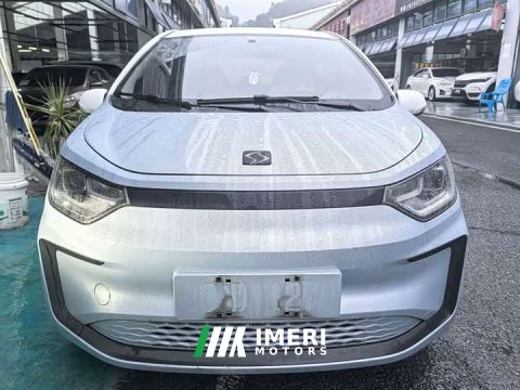 2022 JAC Flower Fairy Four-Leaf Clover