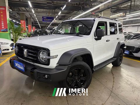 2024 Tank 300 2.0T Conqueror - ავტომობილი ჩინეთიდან