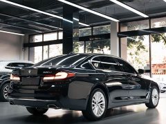 BMW 5 Series 525Li Luxury Package - photo 3