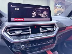 BMW X3 M X3 M Thunder Edition - фото 15