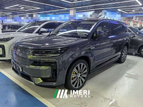 2025 Denza N9 Flagship - car from China