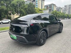 Tesla Model Y Rear-Wheel Drive - photo 6