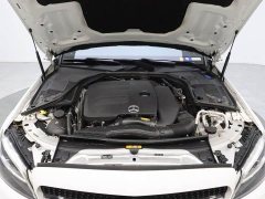 Mercedes-Benz C-Class C 260 Star Radiance Premium Edition - photo 20