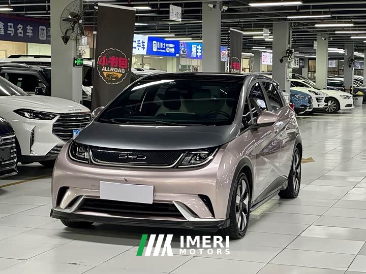 BYD Dolphin 401km Knight Edition - car from China