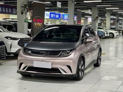 BYD Dolphin 401km Knight Edition - photo 1