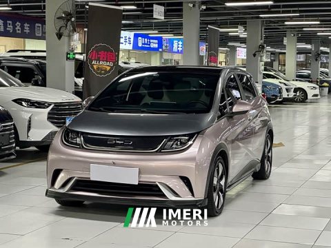 2022 BYD Dolphin 401km Knight Edition - ავტომობილი ჩინეთიდან