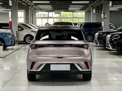 BYD Dolphin 401km Knight Edition - photo 13