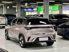 BYD Dolphin 401km Knight Edition - photo 14