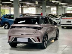 BYD Dolphin 401km Knight Edition - photo 15