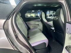 BYD Dolphin 401km Knight Edition - photo 17