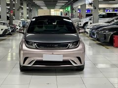 BYD Dolphin 401km Knight Edition - photo 2