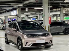 BYD Dolphin 401km Knight Edition - photo 3