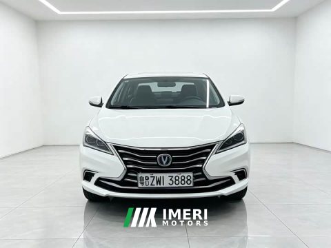 2021 Changan DT 1.6L Version VI - car from China