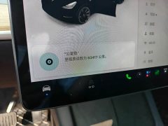 Tesla Model Y Standard Range RWD - ფოტო 9