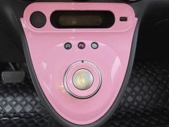 ORA Black Cat 301km Cute Pet Edition LFP Battery - photo 16