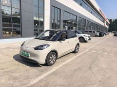 Wuling Binguo 203km Light Enjoy Edition - ფოტო 1