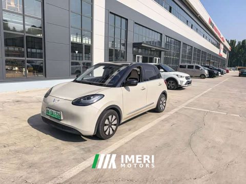 2023 Wuling Binguo 203km Light Enjoy Edition - car from China