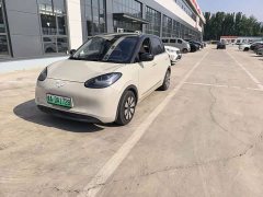 Wuling Binguo 203km Light Enjoy Edition - ფოტო 2