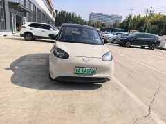 Wuling Binguo 203km Light Enjoy Edition - ფოტო 3