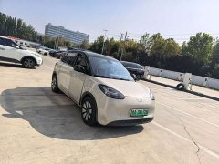 Wuling Binguo 203km Light Enjoy Edition - ფოტო 5