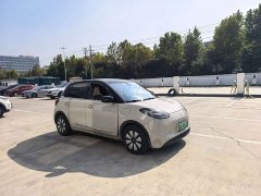 Wuling Binguo 203km Light Enjoy Edition - ფოტო 6