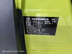 BYD Seagull Flying Edition - фото 11