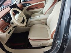 ORA Good Cat 430km Deluxe Edition - ფოტო 14