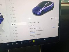 Tesla Model Y Rear-Wheel Drive - ფოტო 11