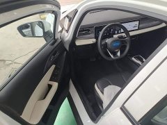 Geely Geometry E Firefly 301km Starlight - ფოტო 15