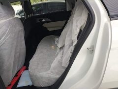 Geely Geometry E Firefly 301km Starlight - ფოტო 16
