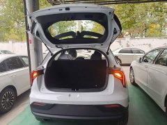 Geely Geometry E Firefly 301km Starlight - ფოტო 18